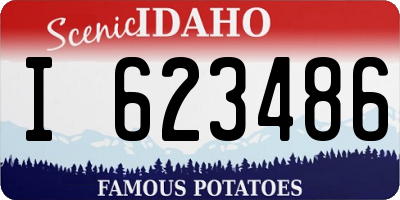 ID license plate I623486