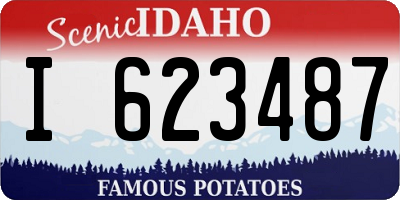 ID license plate I623487