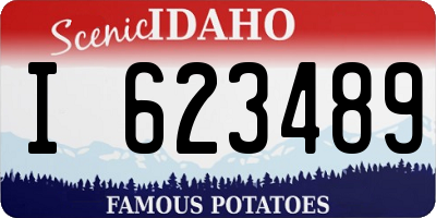 ID license plate I623489