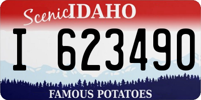 ID license plate I623490