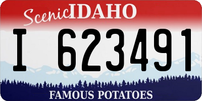 ID license plate I623491