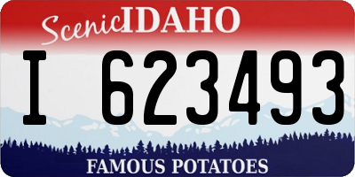 ID license plate I623493