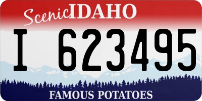 ID license plate I623495