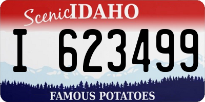 ID license plate I623499