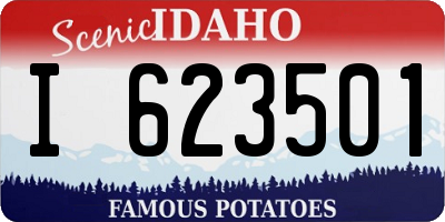 ID license plate I623501