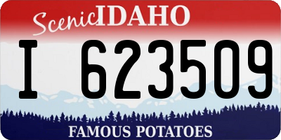 ID license plate I623509