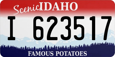 ID license plate I623517