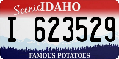 ID license plate I623529
