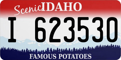 ID license plate I623530