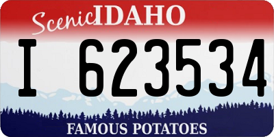 ID license plate I623534
