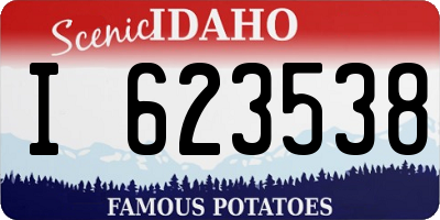 ID license plate I623538