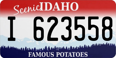 ID license plate I623558