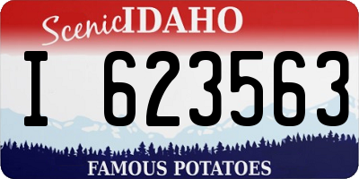ID license plate I623563