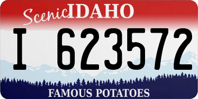 ID license plate I623572