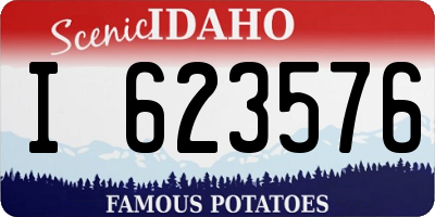 ID license plate I623576