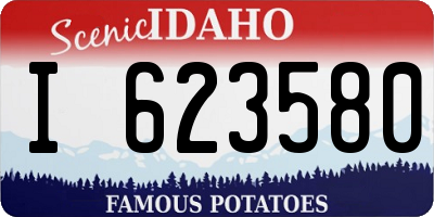 ID license plate I623580