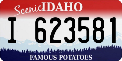 ID license plate I623581