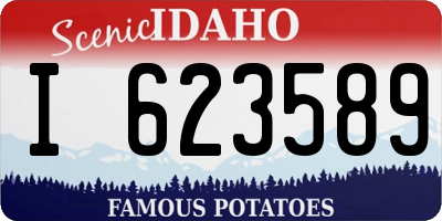 ID license plate I623589