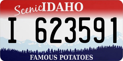 ID license plate I623591