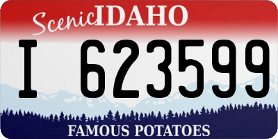 ID license plate I623599