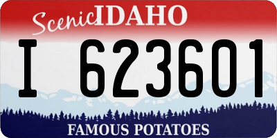 ID license plate I623601