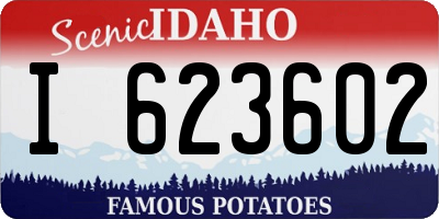 ID license plate I623602