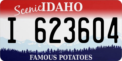 ID license plate I623604