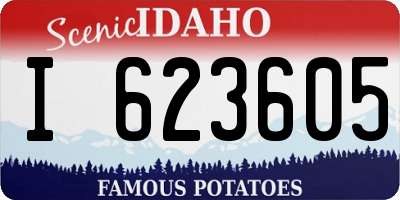 ID license plate I623605