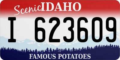 ID license plate I623609