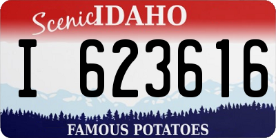 ID license plate I623616