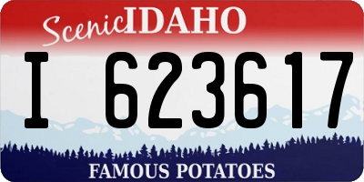 ID license plate I623617