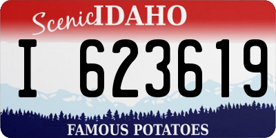 ID license plate I623619