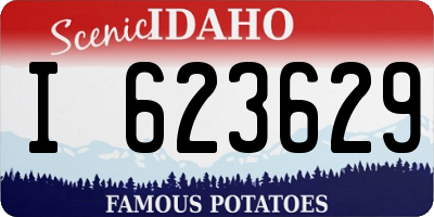 ID license plate I623629