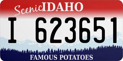 ID license plate I623651