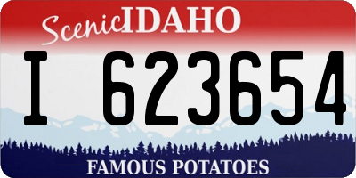 ID license plate I623654