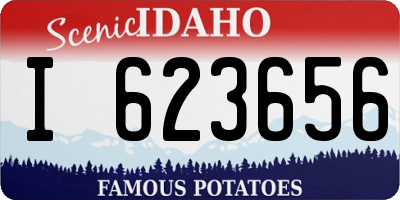 ID license plate I623656