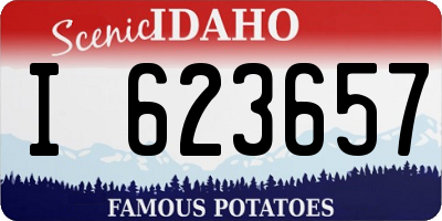 ID license plate I623657