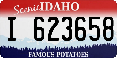 ID license plate I623658