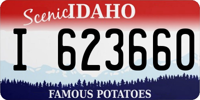 ID license plate I623660