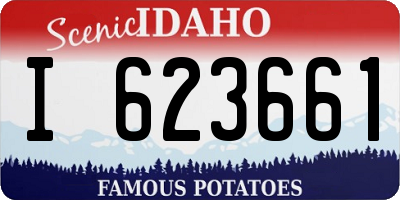 ID license plate I623661
