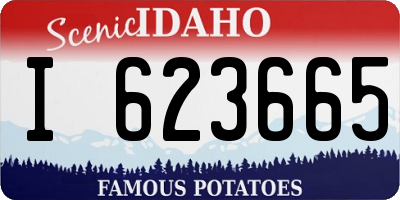 ID license plate I623665