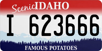 ID license plate I623666