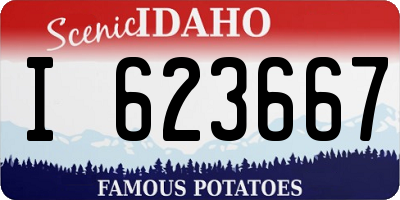 ID license plate I623667