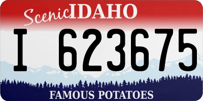 ID license plate I623675