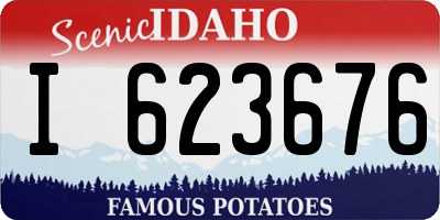 ID license plate I623676