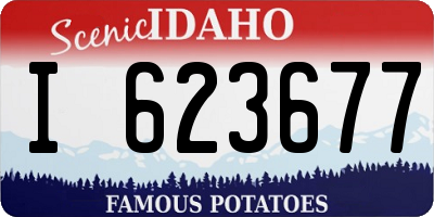ID license plate I623677