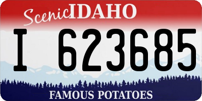 ID license plate I623685