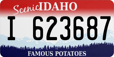 ID license plate I623687