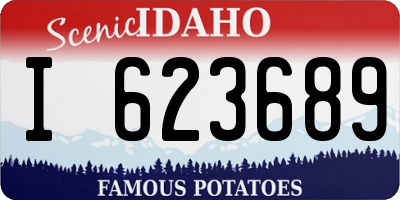 ID license plate I623689
