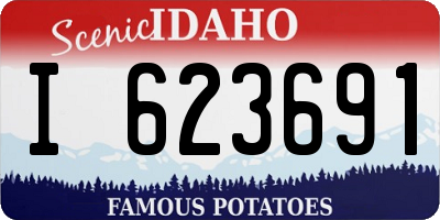 ID license plate I623691